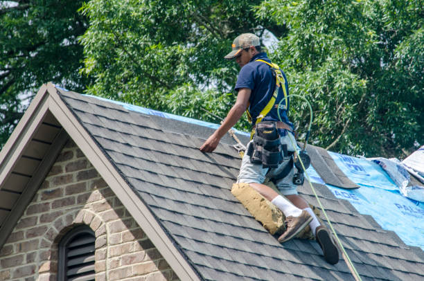 Best Local Roofing Companies  in Herington, KS